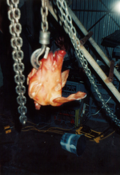 CSU live in '94  - photo 15